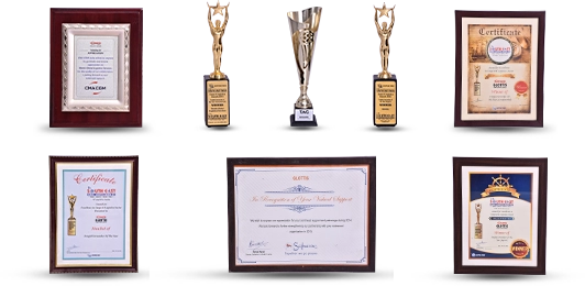 Multiple awards, recognitions for reliable global logistics trusted by diverse industry clients.