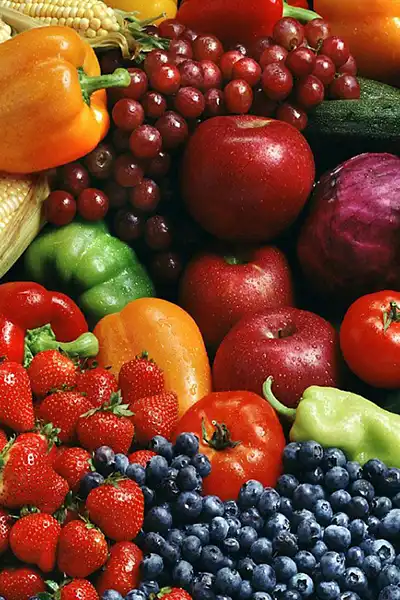 Efficient transport for fruits, Vegetables, fresh produce supporting agro export supply chain, Chennai.