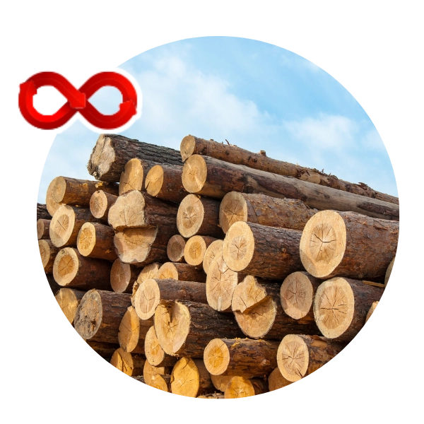 Reliable transport of timber, logs, wood panels, and forest-based products for export in Chennai